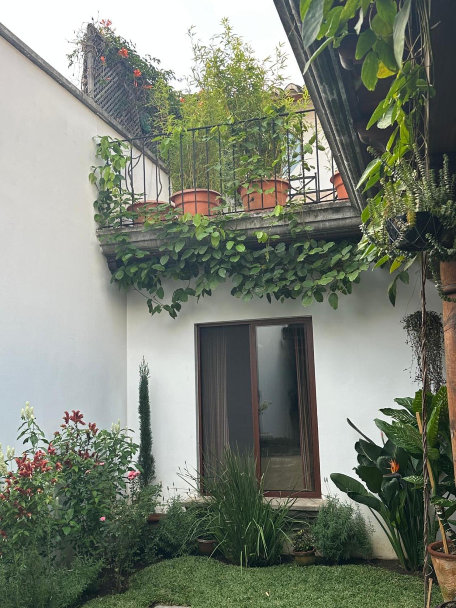 Bed and Breakfast Casa Elena Antigua Екстер'єр фото