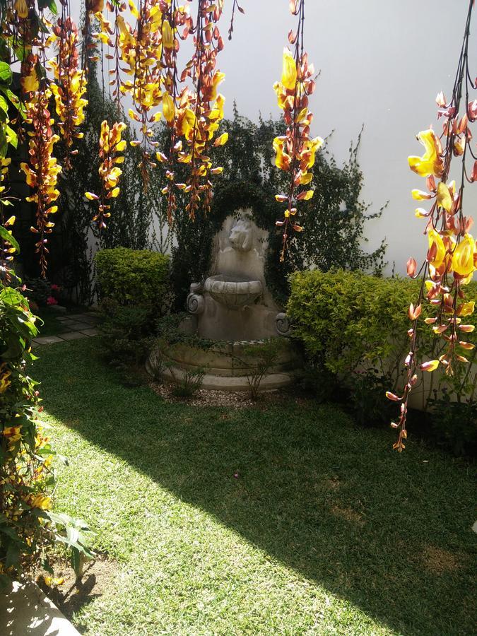 Bed and Breakfast Casa Elena Antigua Екстер'єр фото